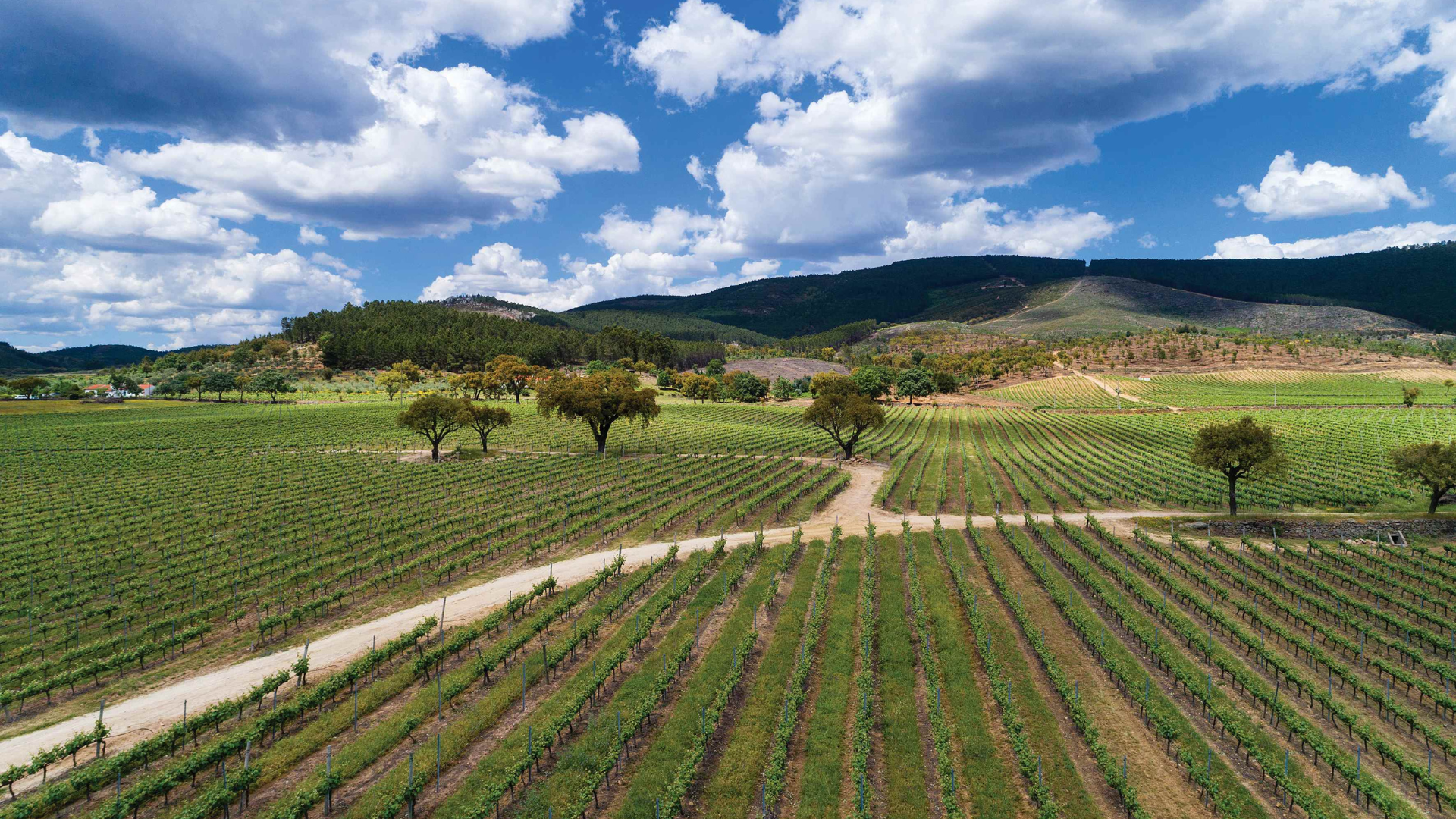 Quinta da Fonte Souto